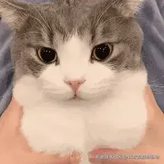 风吹屁屁咻咻咻于2026-03-20 08:56发布的图片