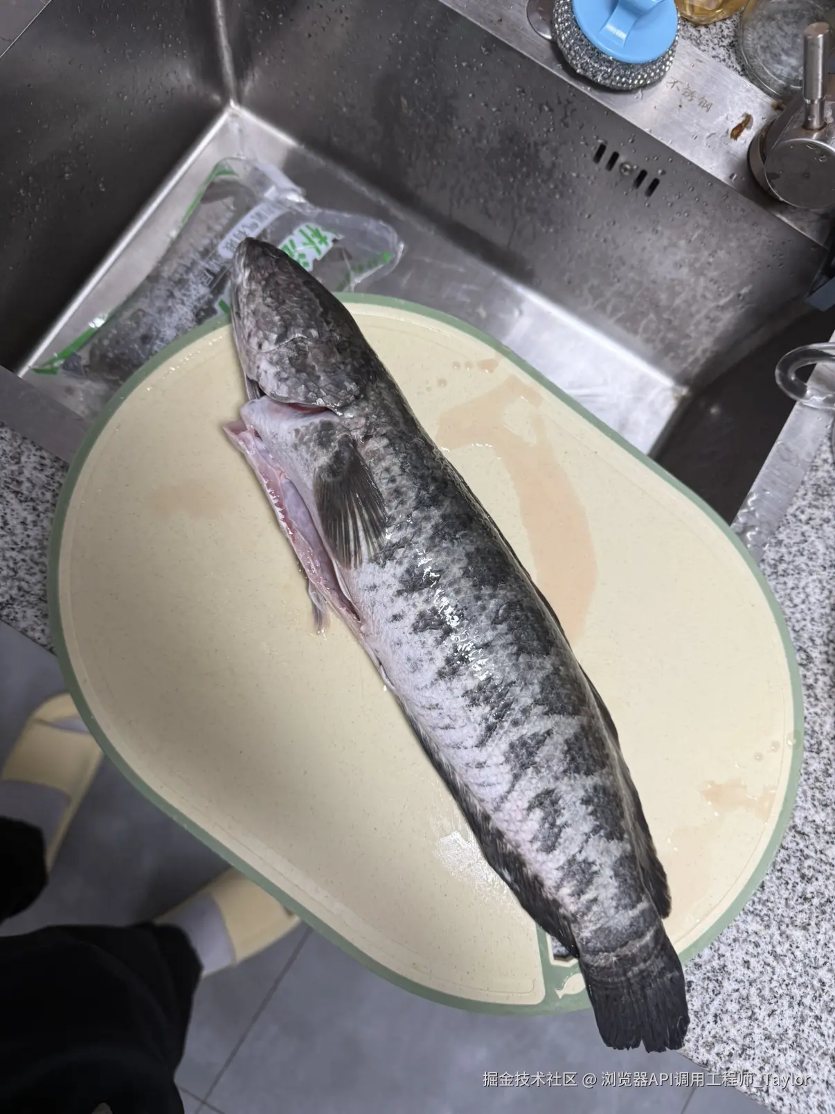 浏览器API调用工程师_Taylor于2025-11-03 09:06发布的图片