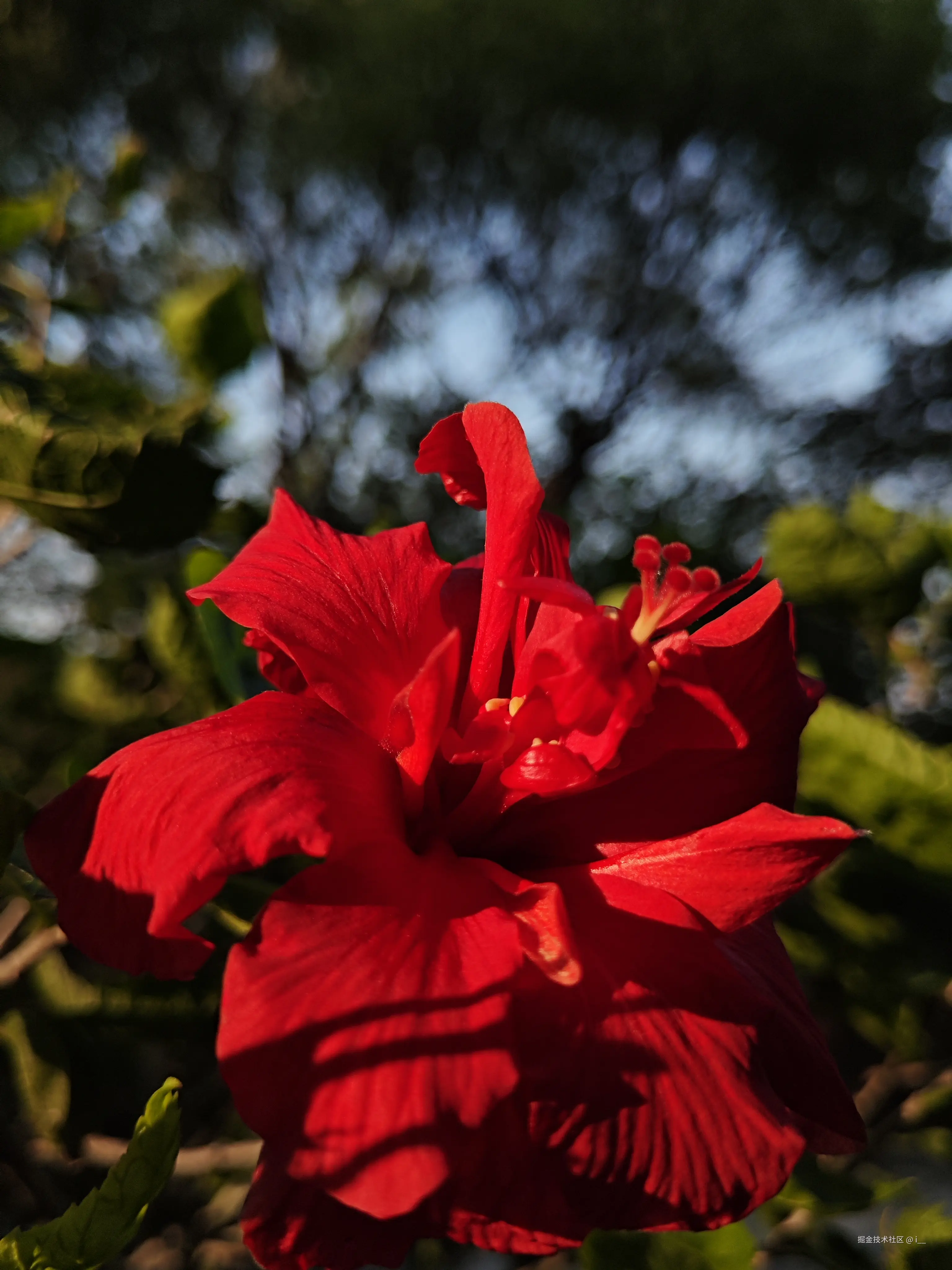 i__于2025-12-30 13:45发布的图片