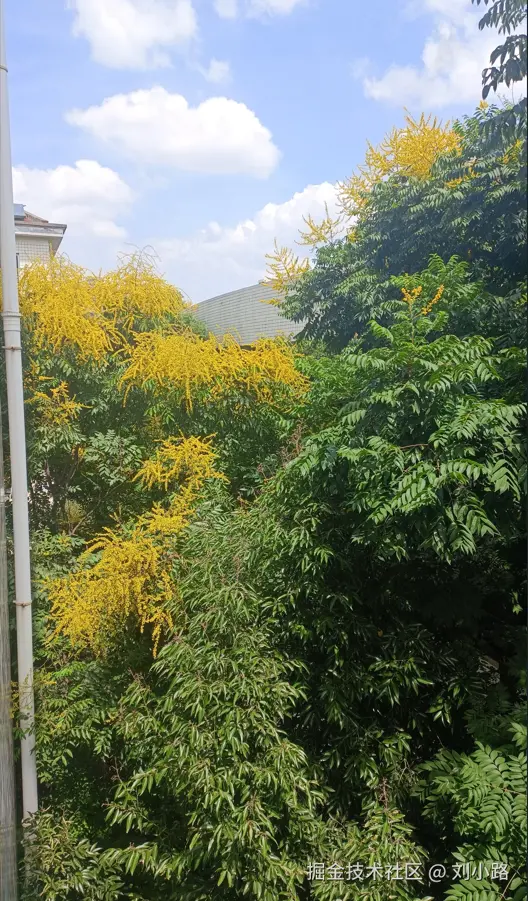 刘小路于2026-03-28 20:47发布的图片