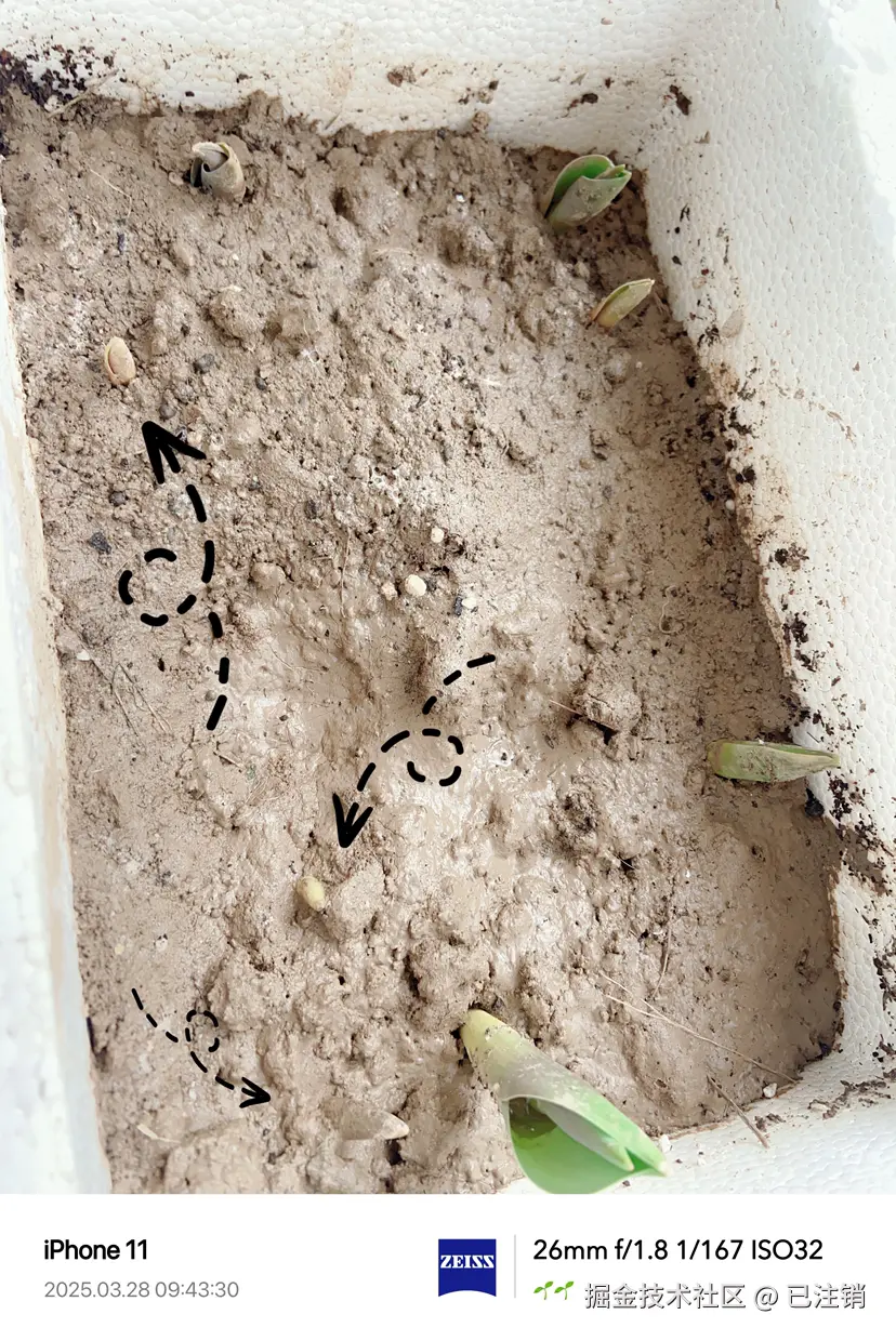 已注销于2025-03-28 09:45发布的图片