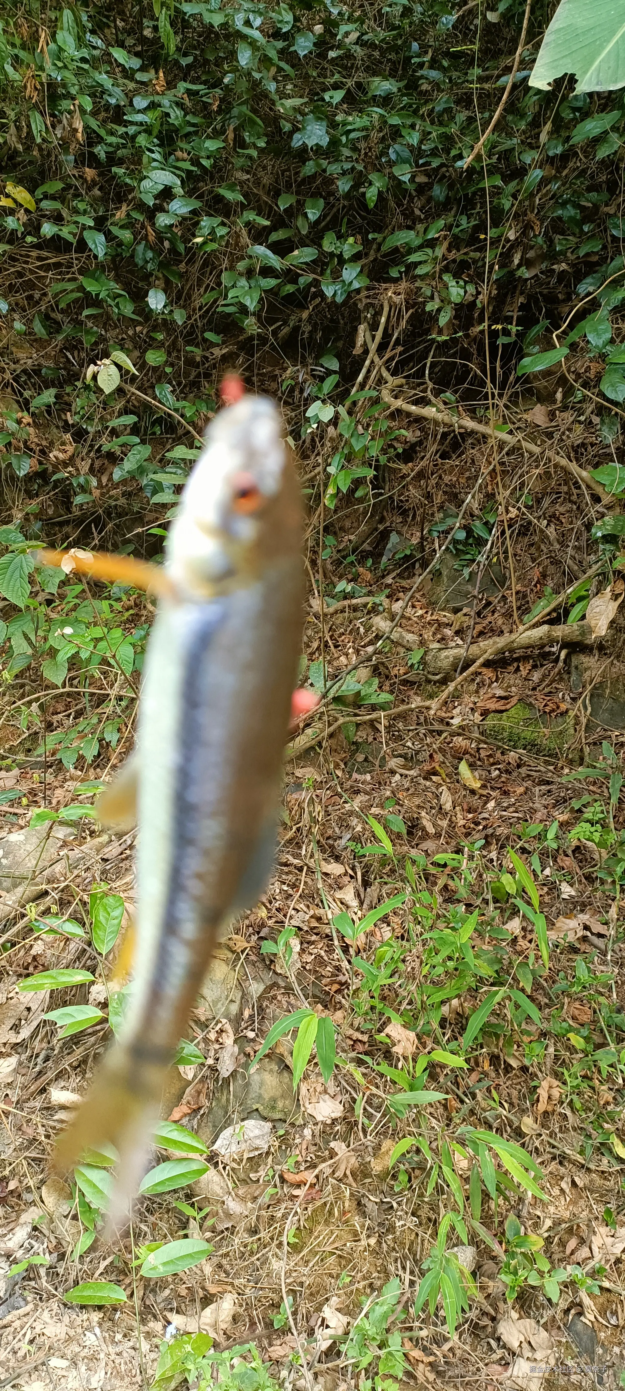 莫奈子于2025-03-27 18:39发布的图片