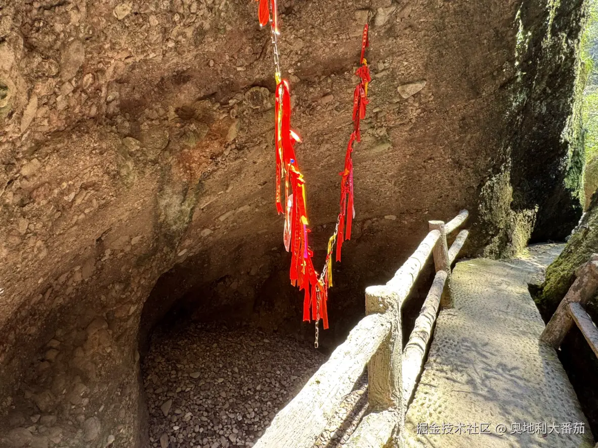 奥地利大番茄于2025-03-24 10:28发布的图片