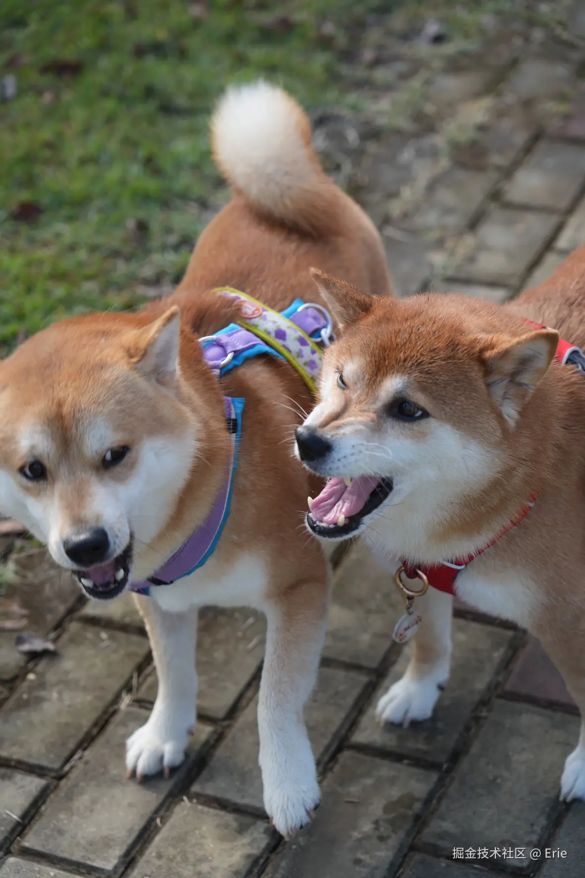 Erie于2025-11-18 00:30发布的图片