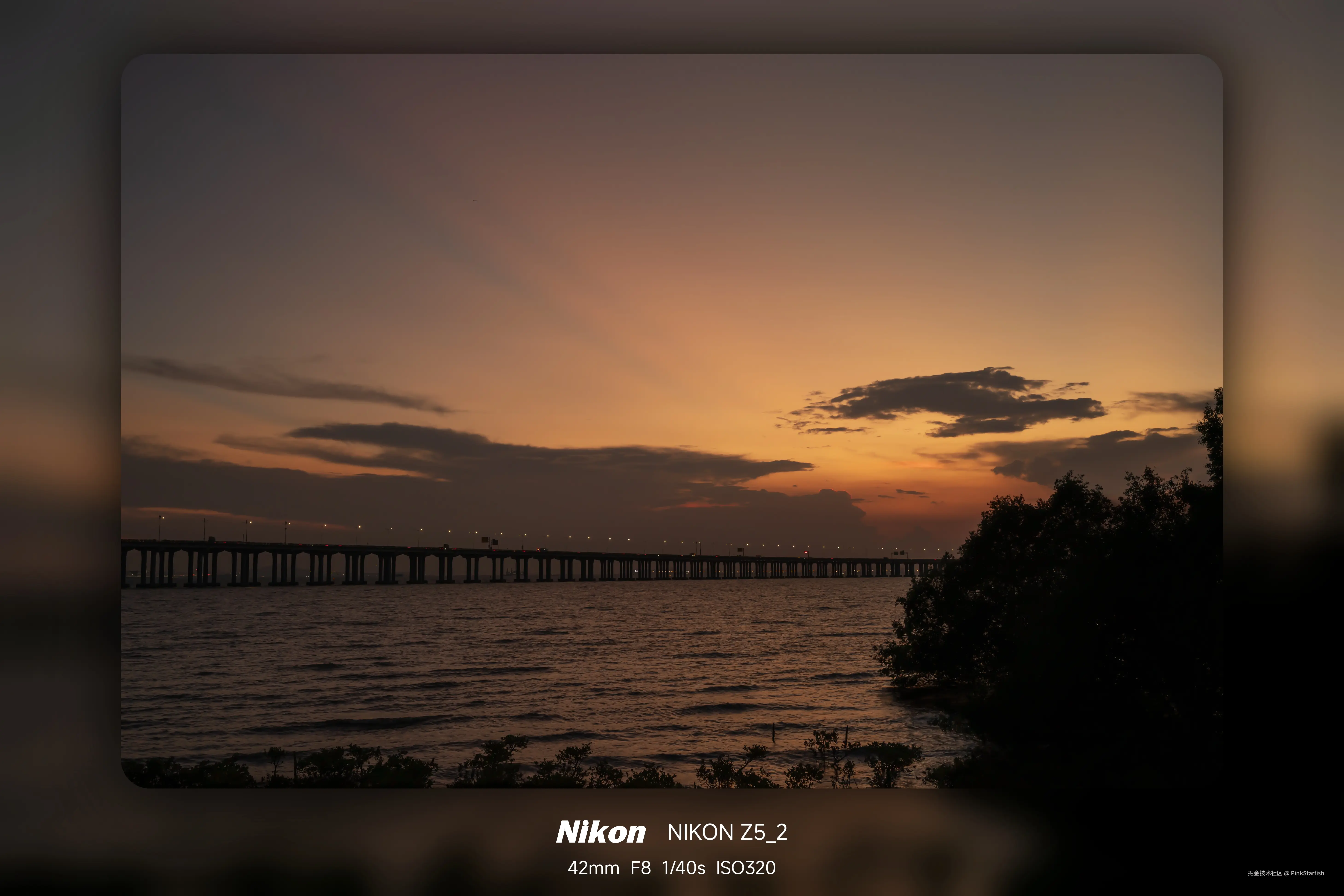 PinkStarfish于2025-06-10 10:49发布的图片