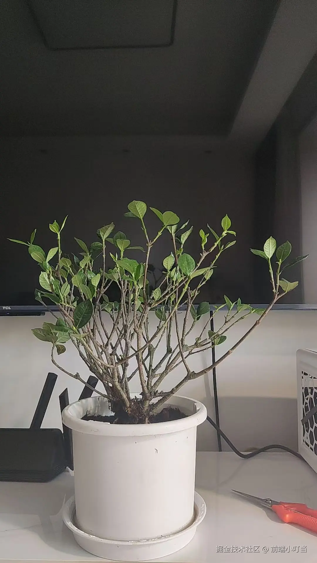 前端小叮当于2024-08-07 10:37发布的图片