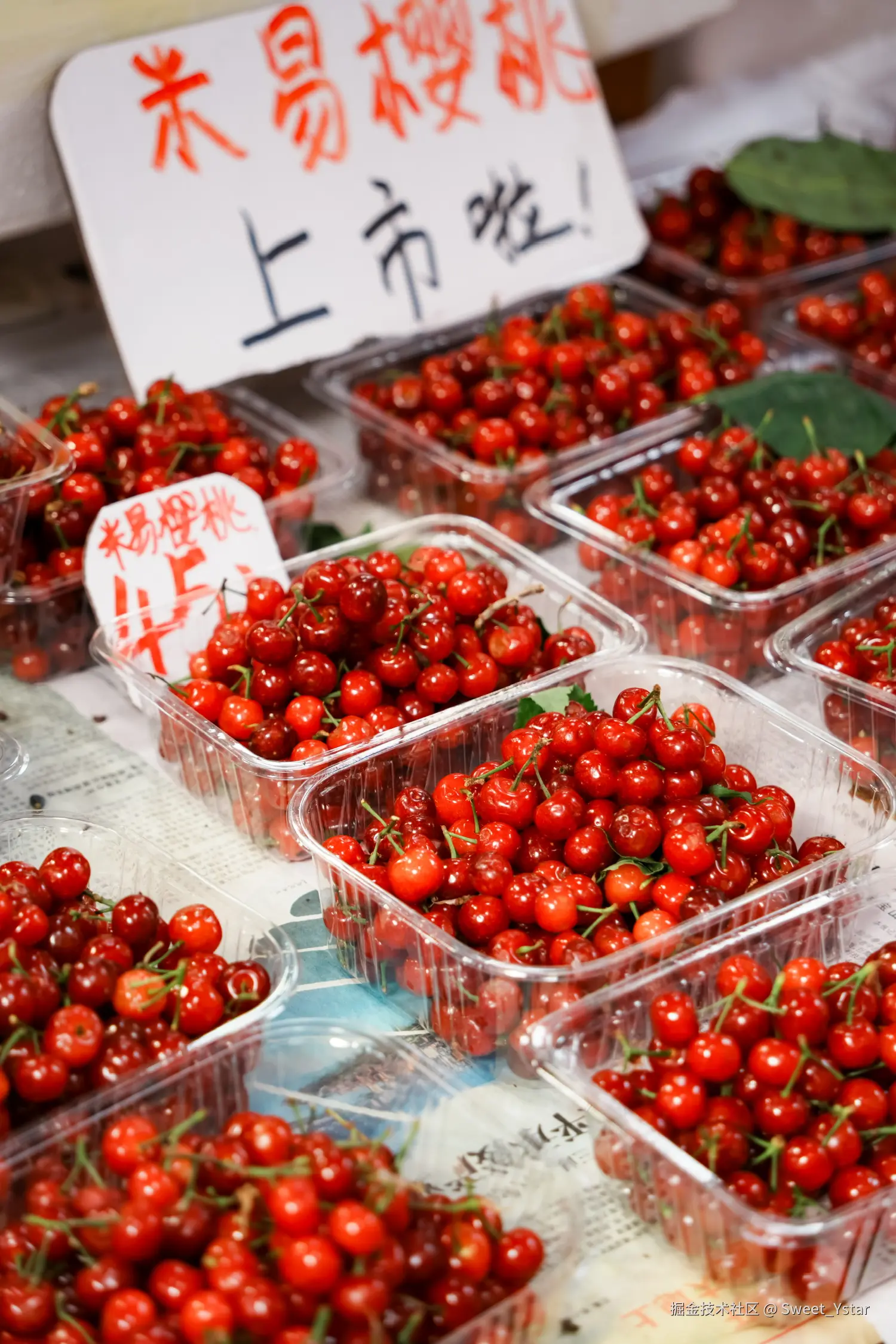 Sweet_Ystar于2026-04-18 09:55发布的图片