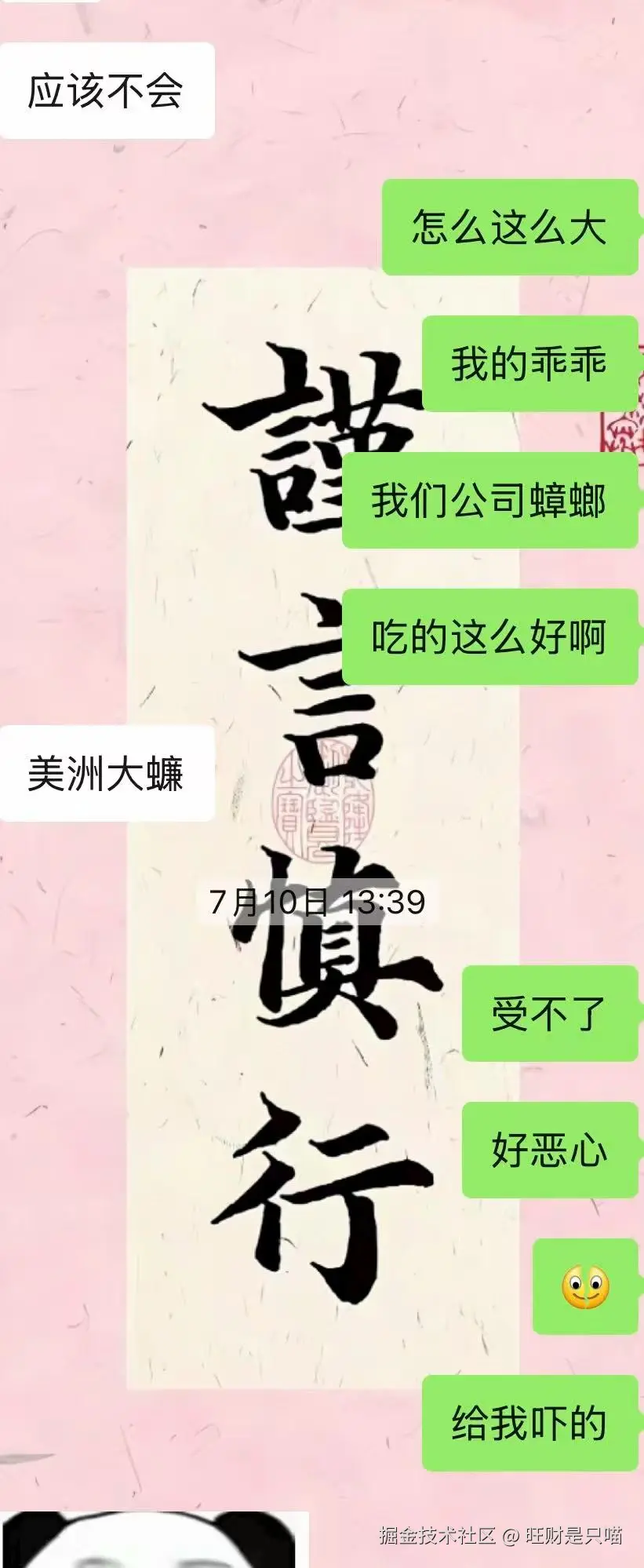 旺财是只喵于2025-08-20 11:17发布的图片