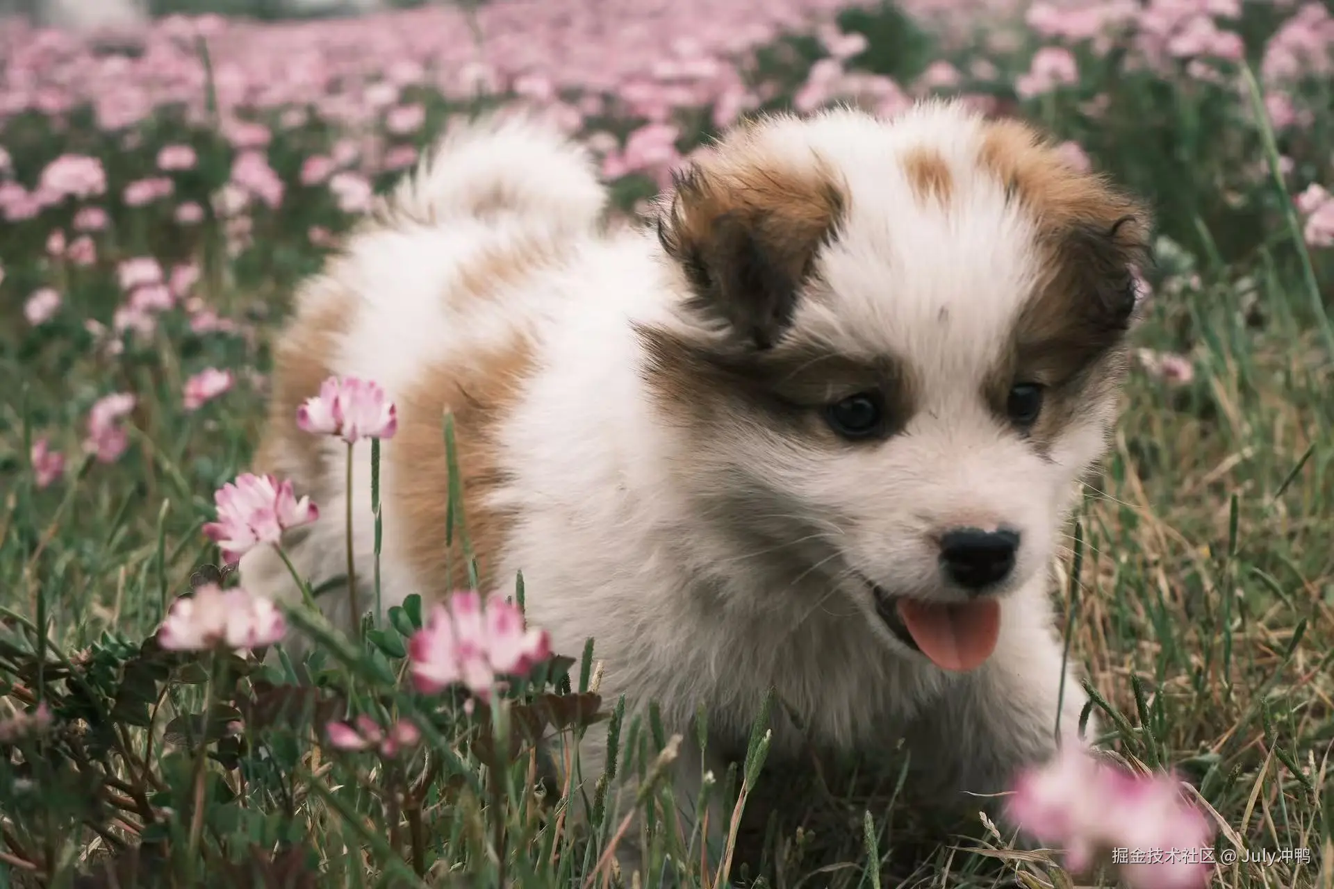 July冲鸭于2025-06-13 16:13发布的图片