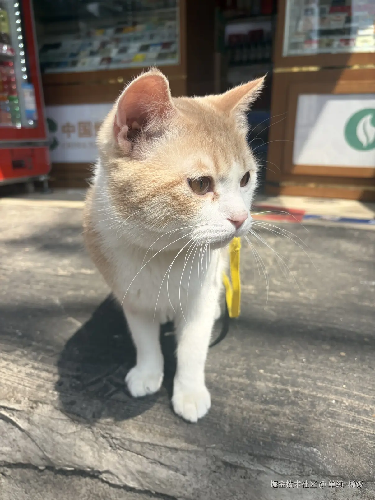 单纯_稀饭于2026-03-24 12:28发布的图片