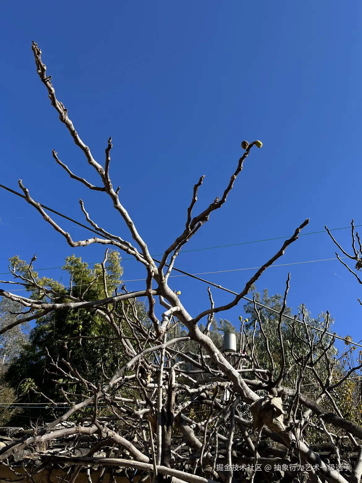 抽象行为艺术一级选手于2025-12-23 09:15发布的图片