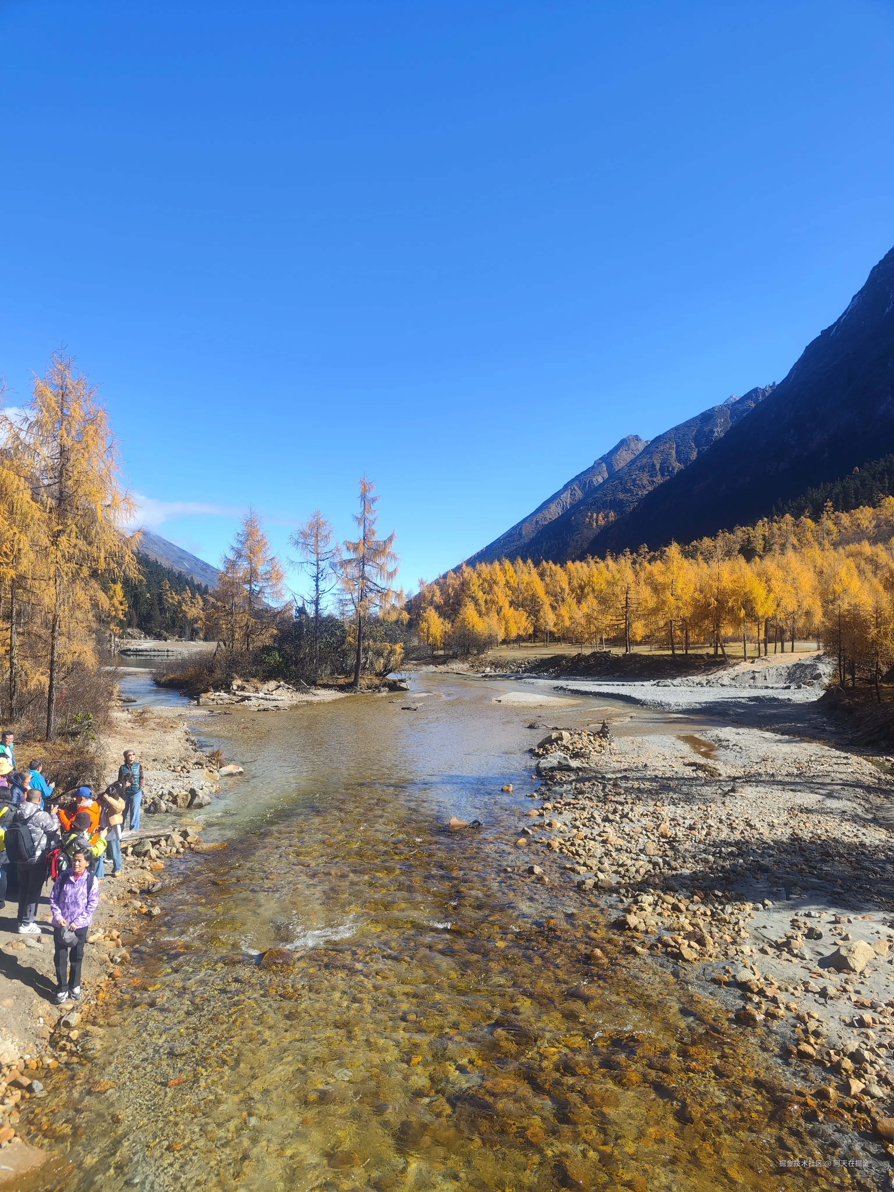 阿天在掘金于2024-11-06 15:00发布的图片