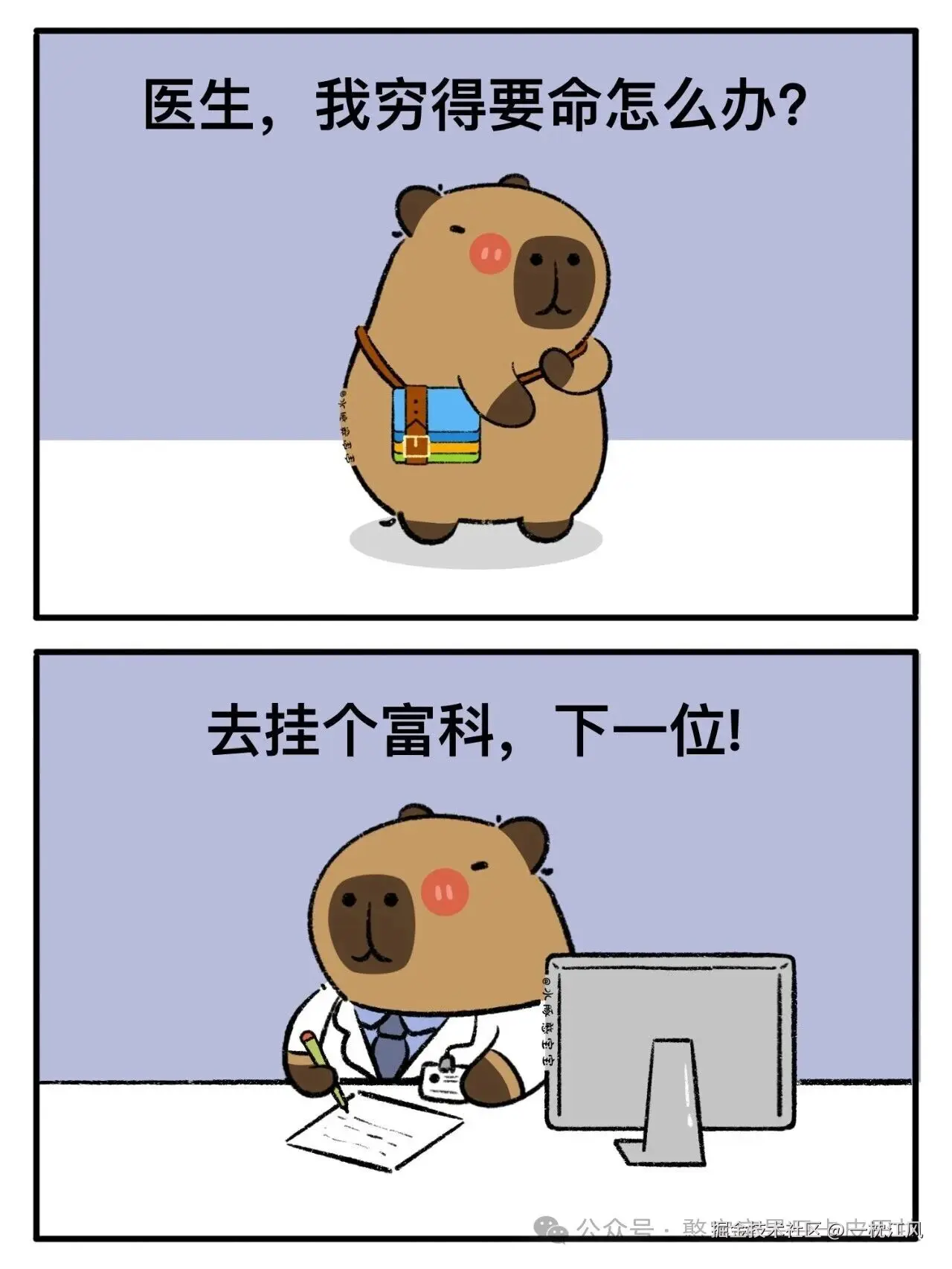 一枕江风于2026-02-03 11:14发布的图片