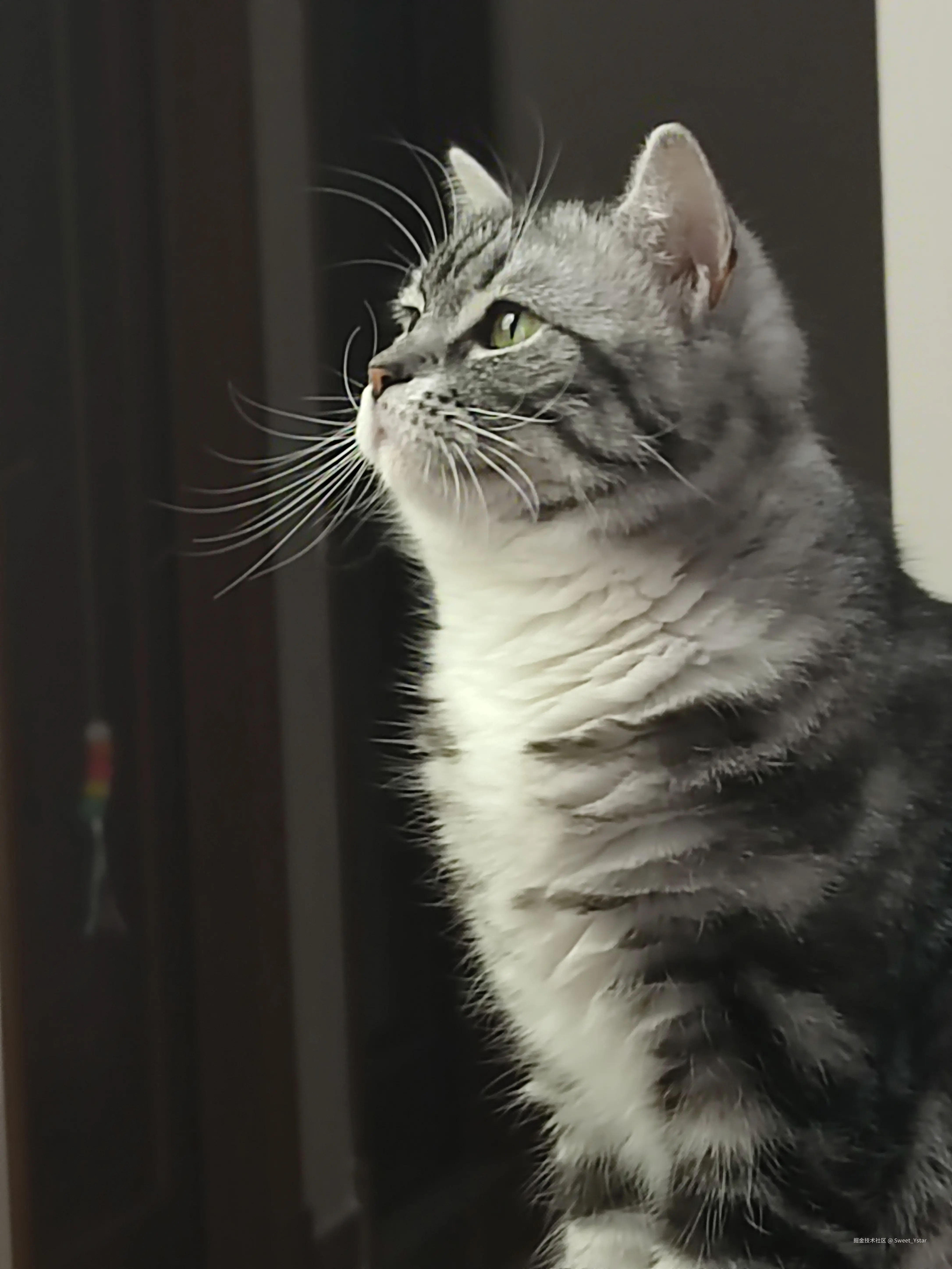 Sweet_Ystar于2026-02-13 15:57发布的图片