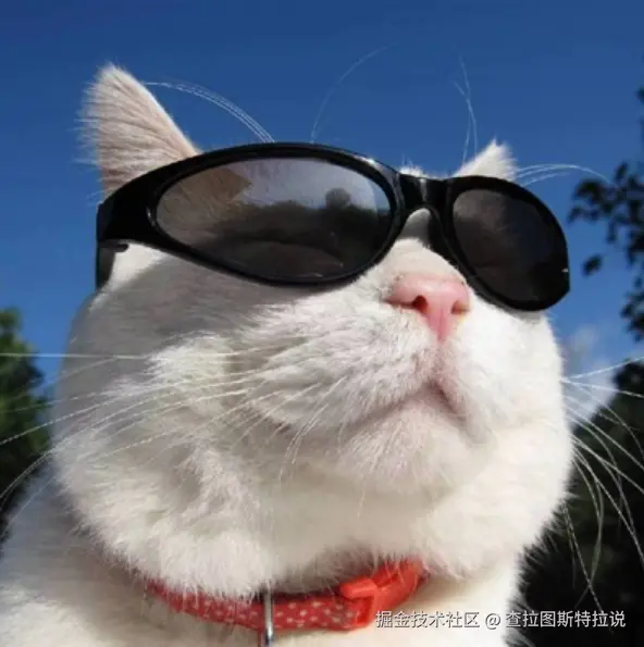 查拉图斯特拉说于2026-01-17 17:10发布的图片