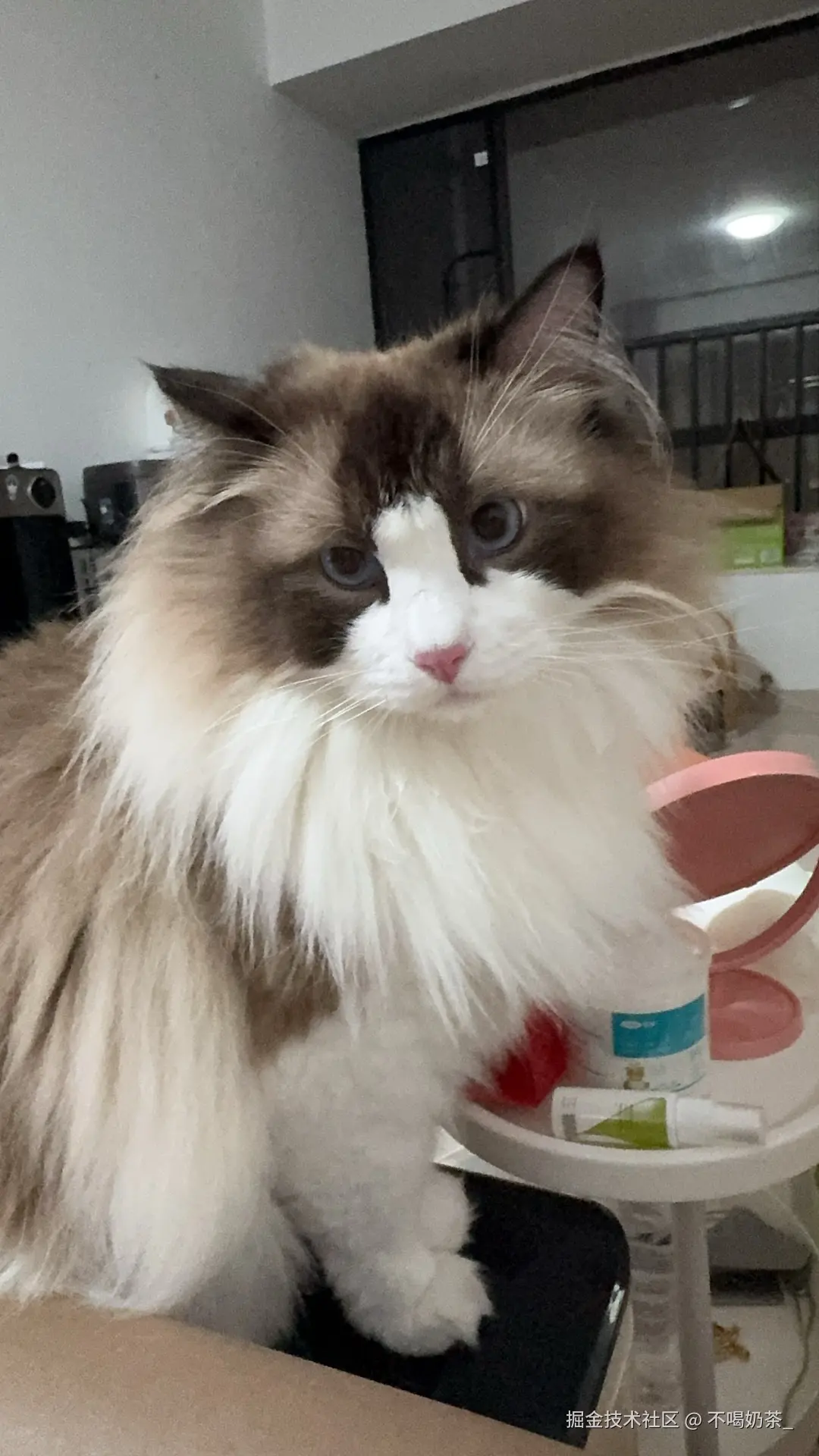 不喝奶茶_于2025-07-14 06:13发布的图片