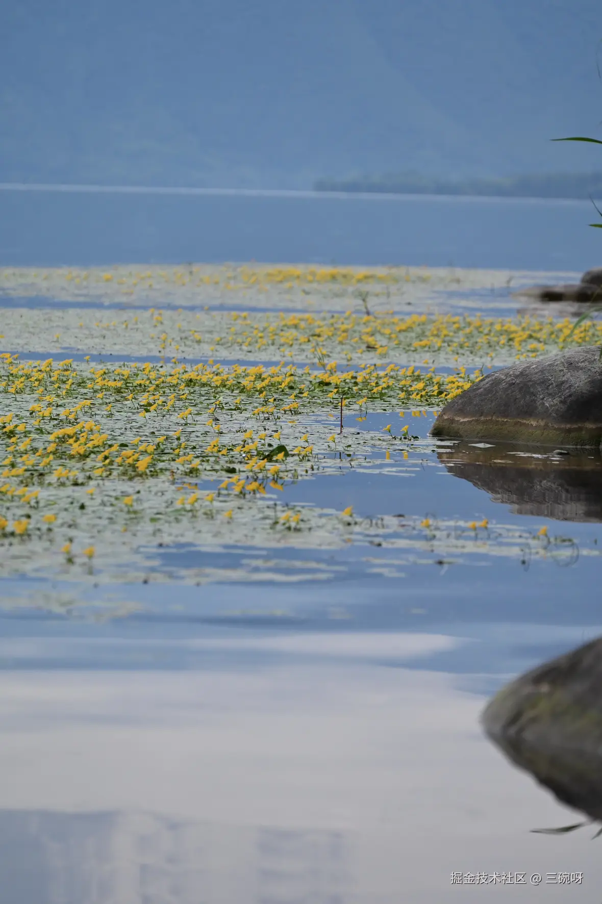 三碗呀于2025-08-11 09:51发布的图片