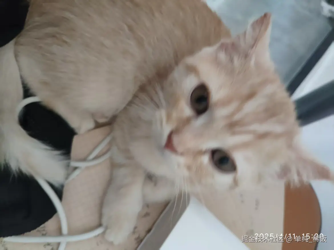 单纯_稀饭于2025-04-11 15:02发布的图片