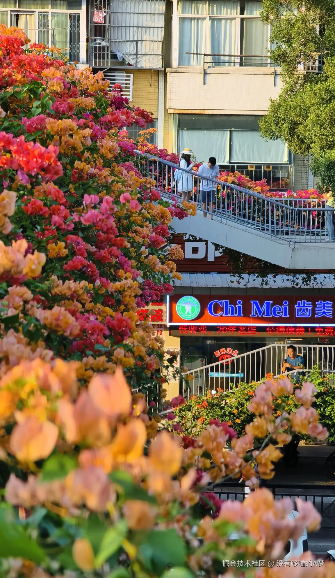 没有哆啦的A梦于2024-12-17 03:13发布的图片