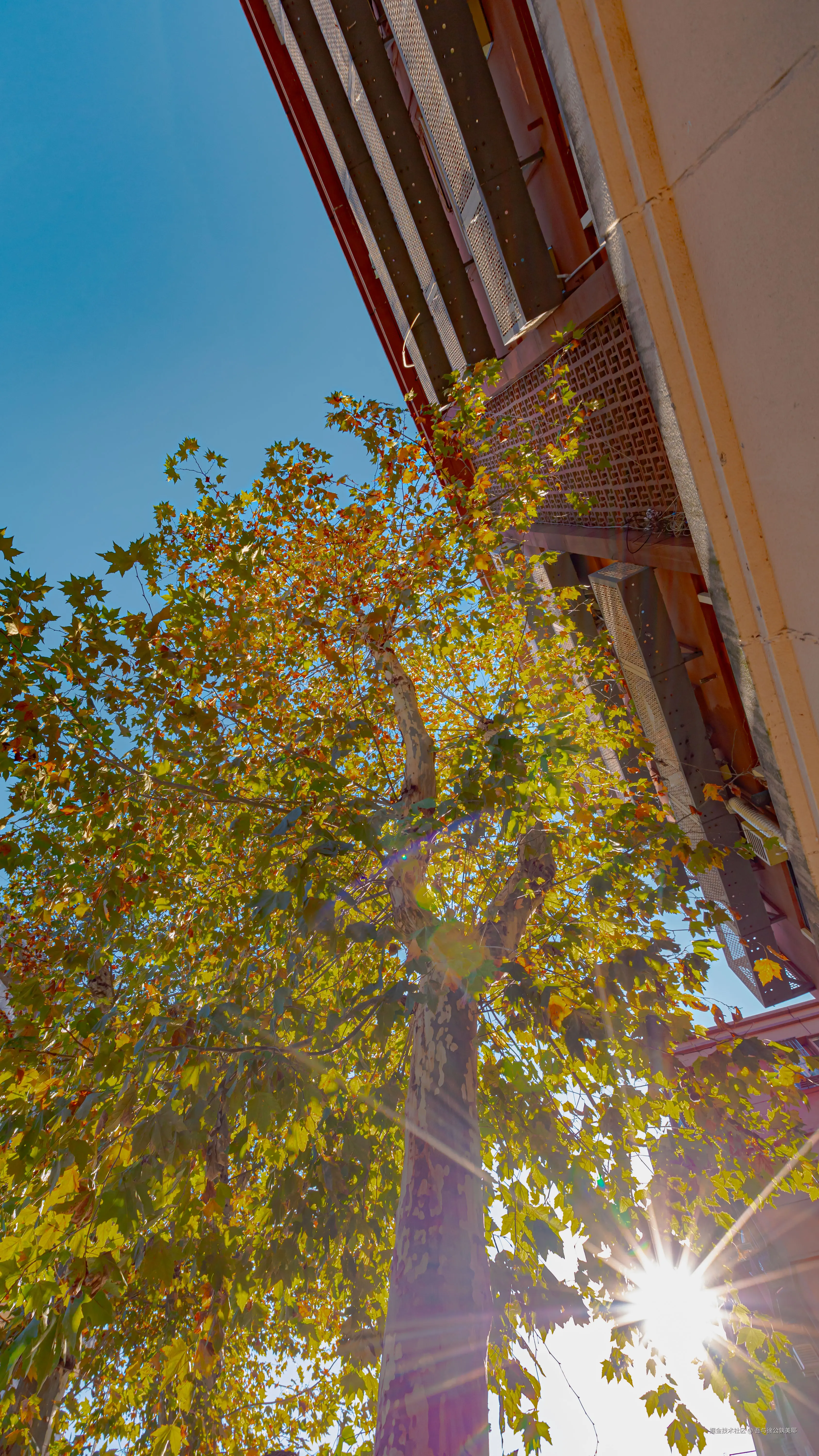 吾与徐公孰美耶于2024-11-29 09:48发布的图片