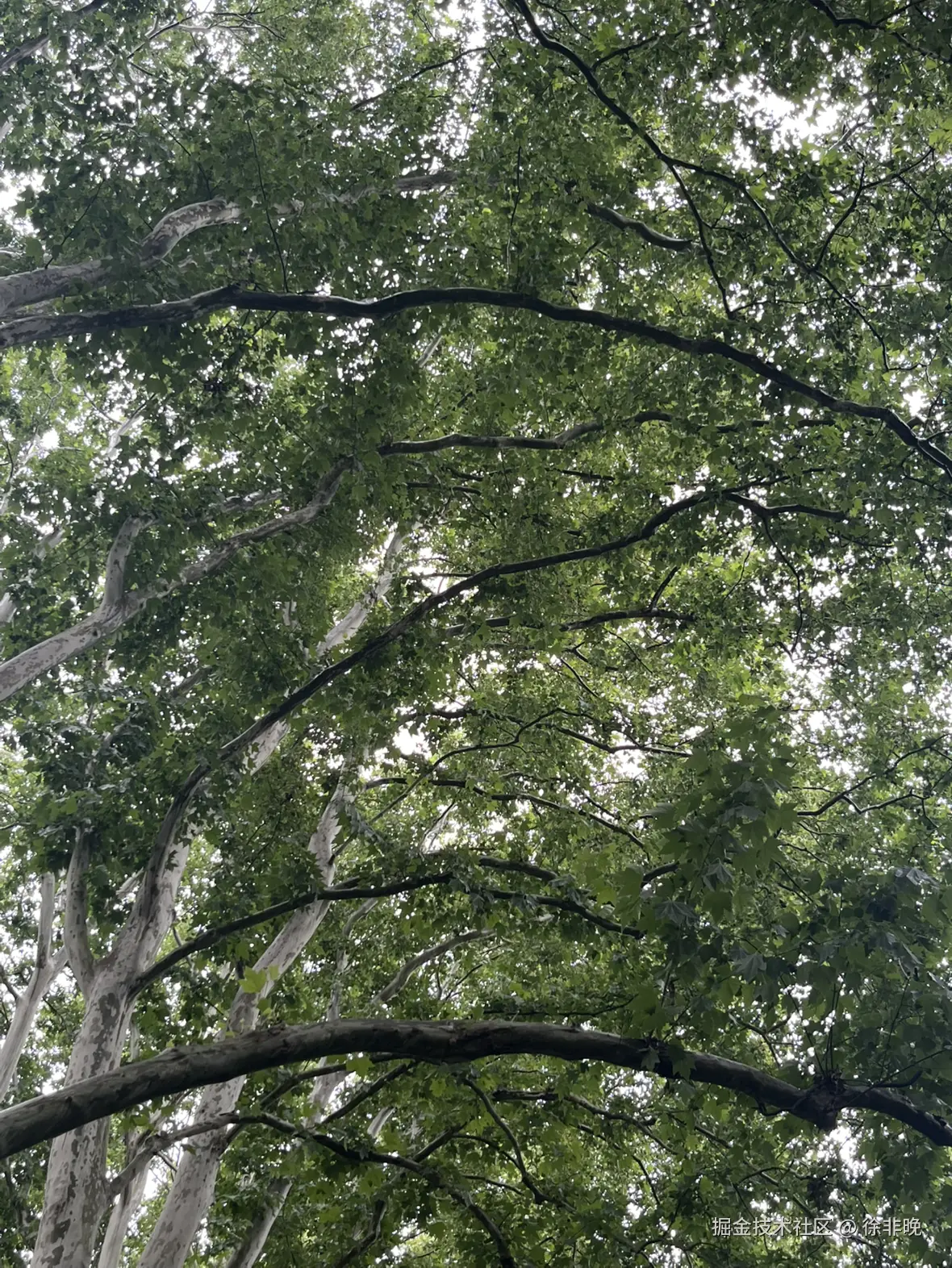 徐非晚于2025-05-27 11:15发布的图片