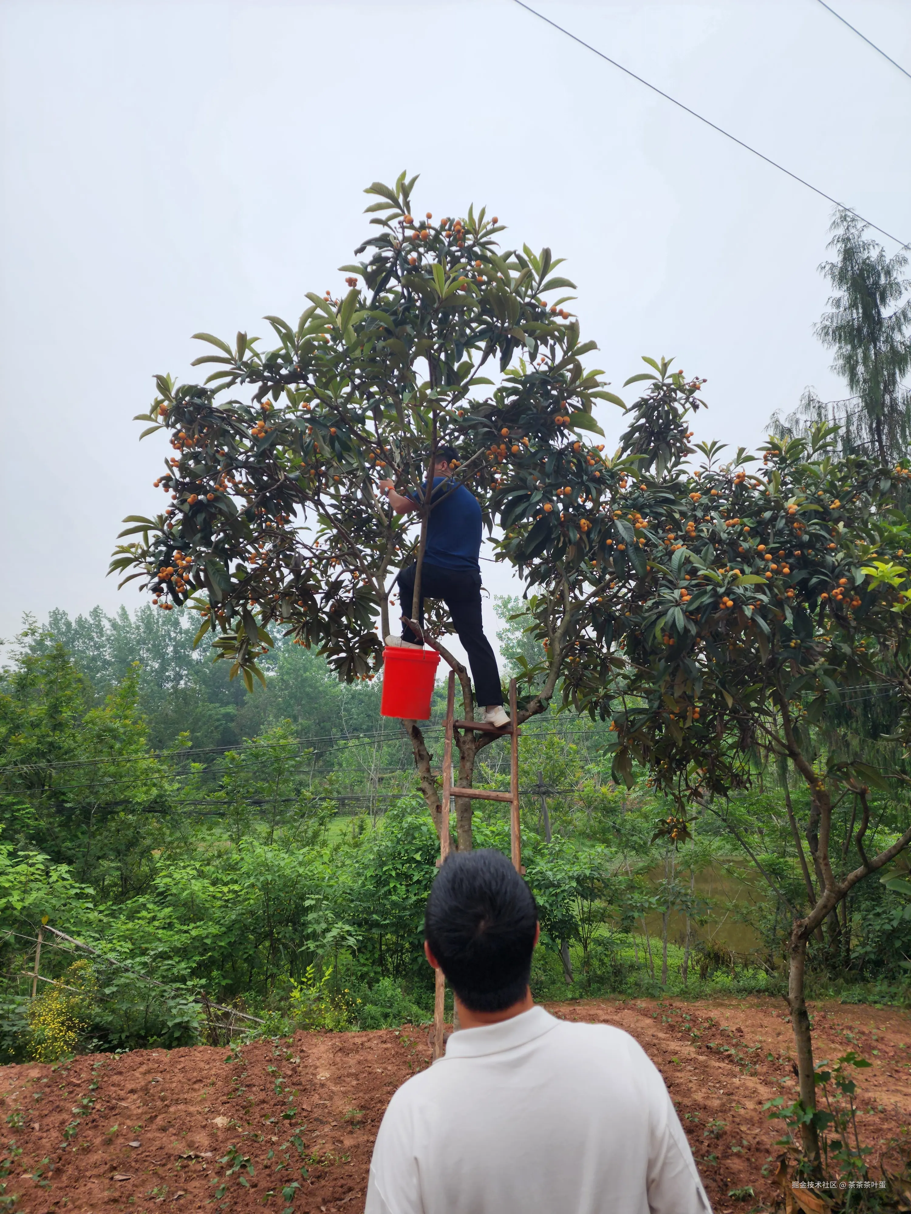 茶茶茶叶蛋于2026-03-27 15:21发布的图片