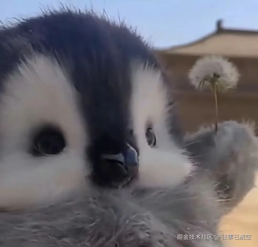 往事已成空于2025-06-25 11:59发布的图片