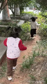 困的时候不睡觉于2026-03-25 08:39发布的图片