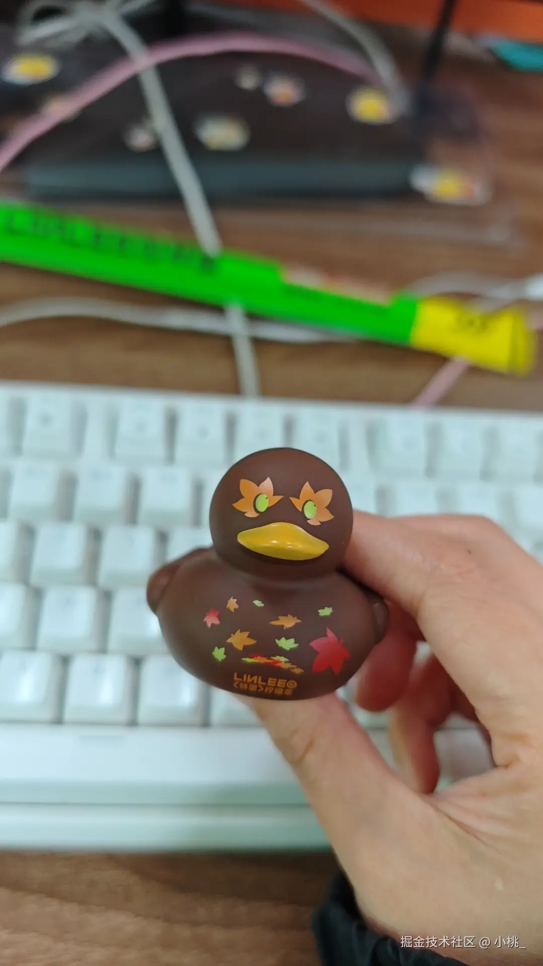 小桃_于2025-12-11 12:25发布的图片