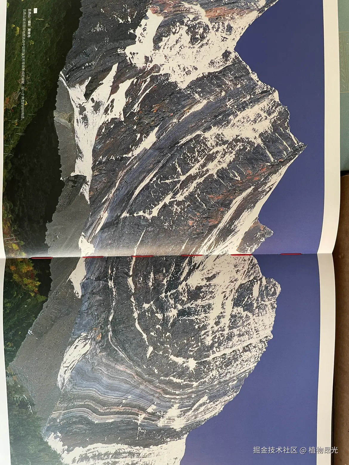 植物昂光于2026-03-15 11:13发布的图片