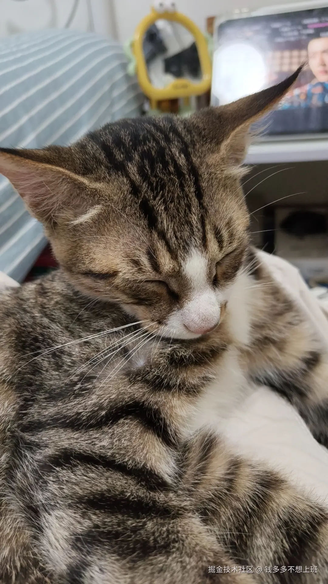 钱多多不想上班于2025-10-17 13:58发布的图片