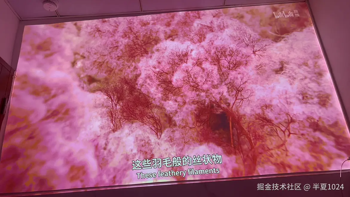 半夏1024于2025-06-13 02:21发布的图片