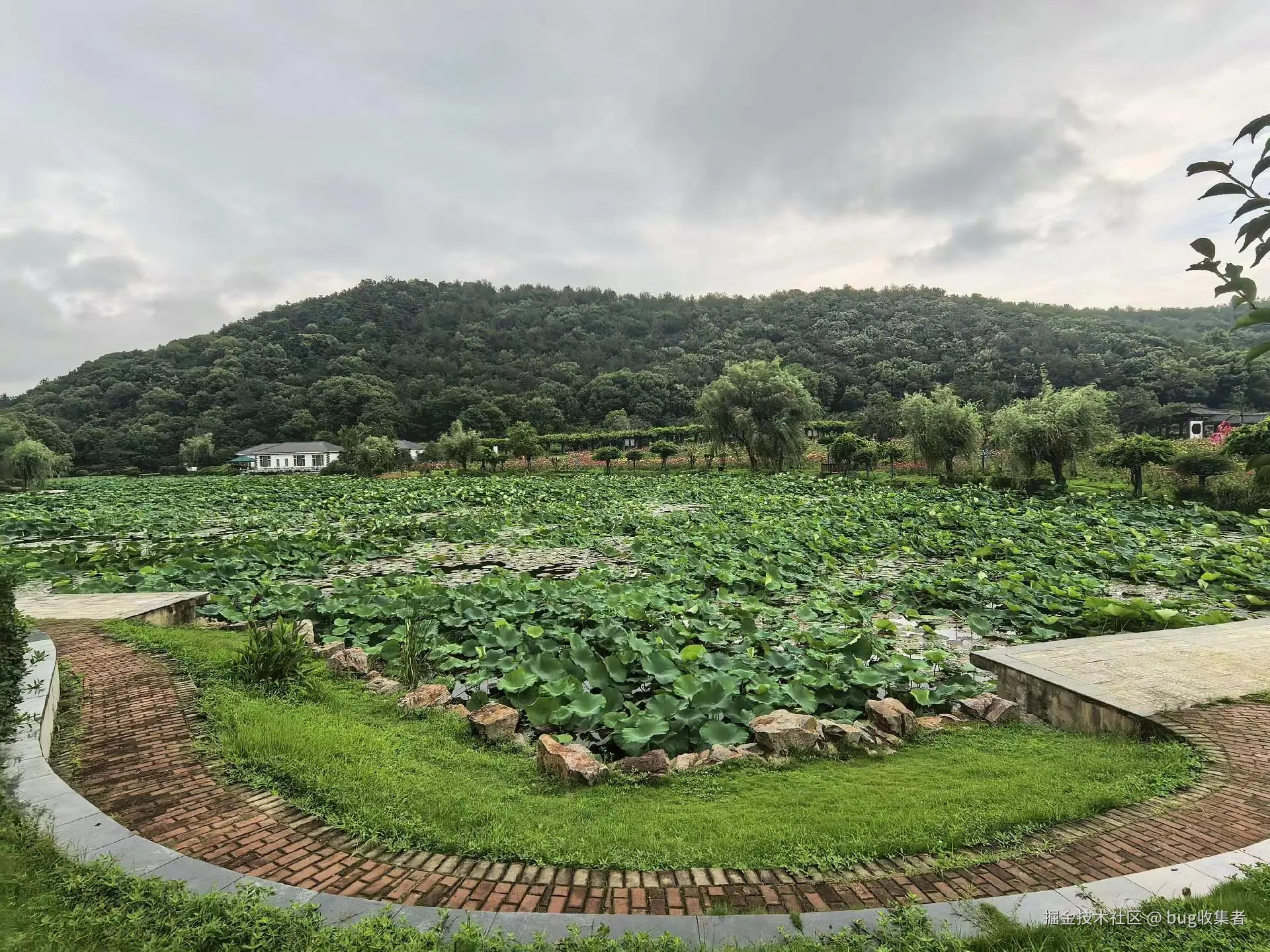 bug收集者于2025-06-23 09:04发布的图片