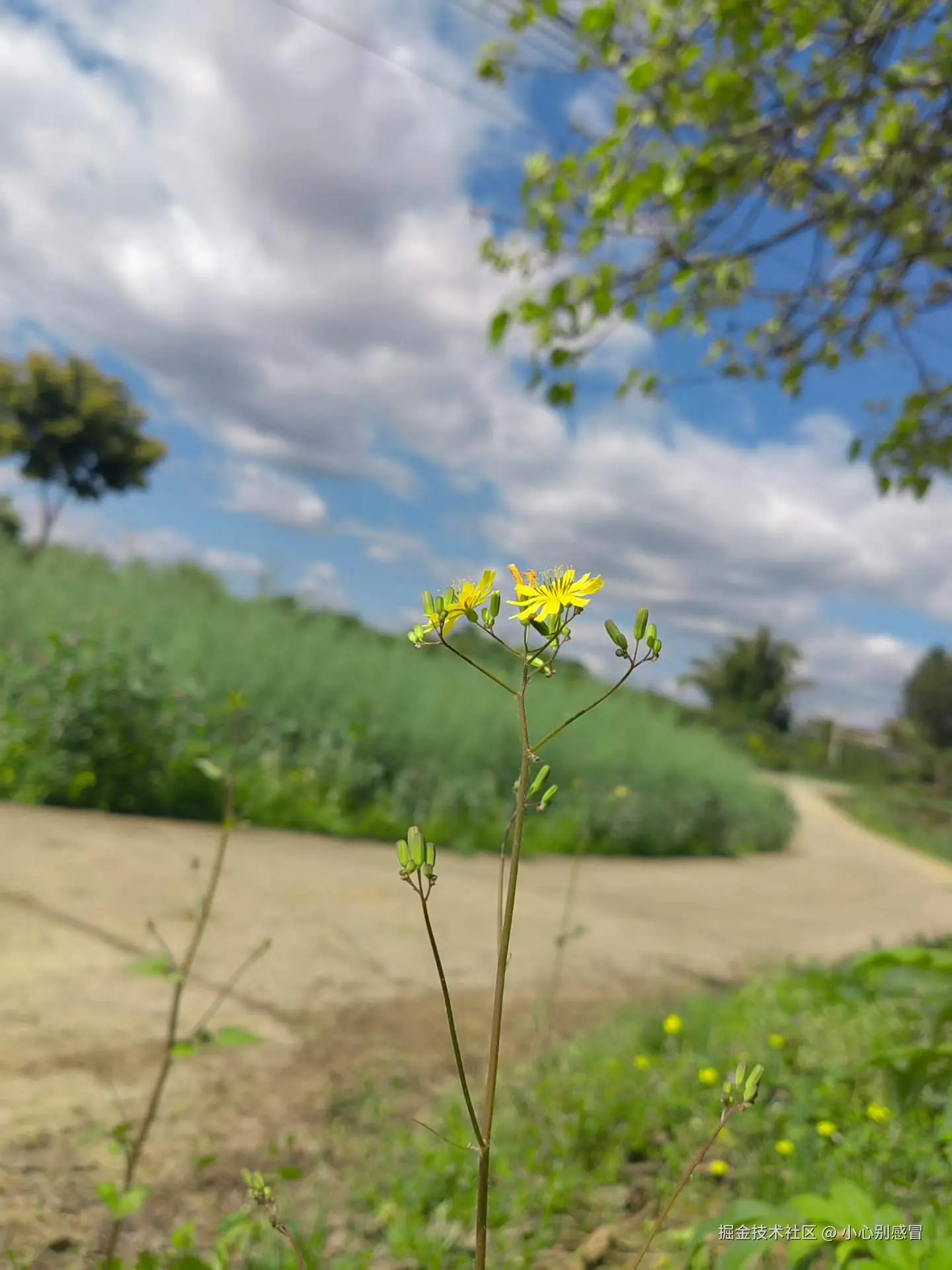 小心别感冒于2026-03-24 15:41发布的图片