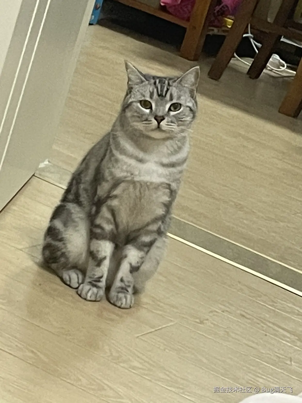 Bug满天飞于2024-09-04 10:47发布的图片