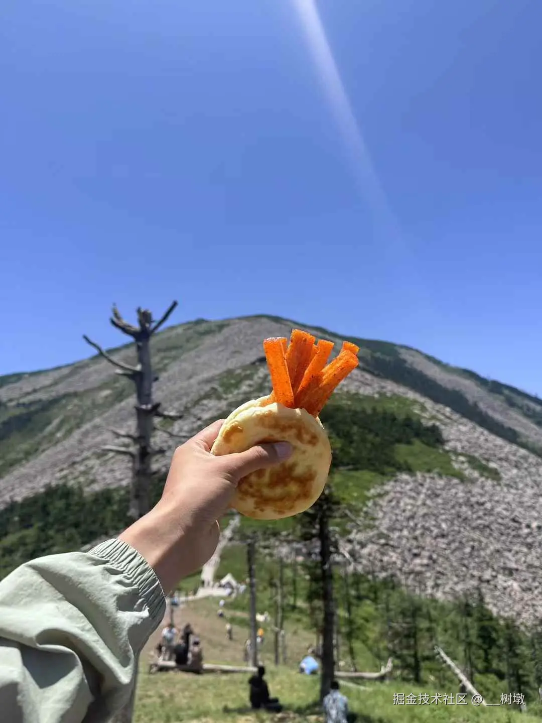 __树墩于2025-06-16 10:33发布的图片