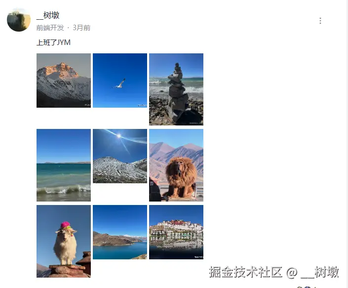 __树墩于2025-02-27 05:14发布的图片