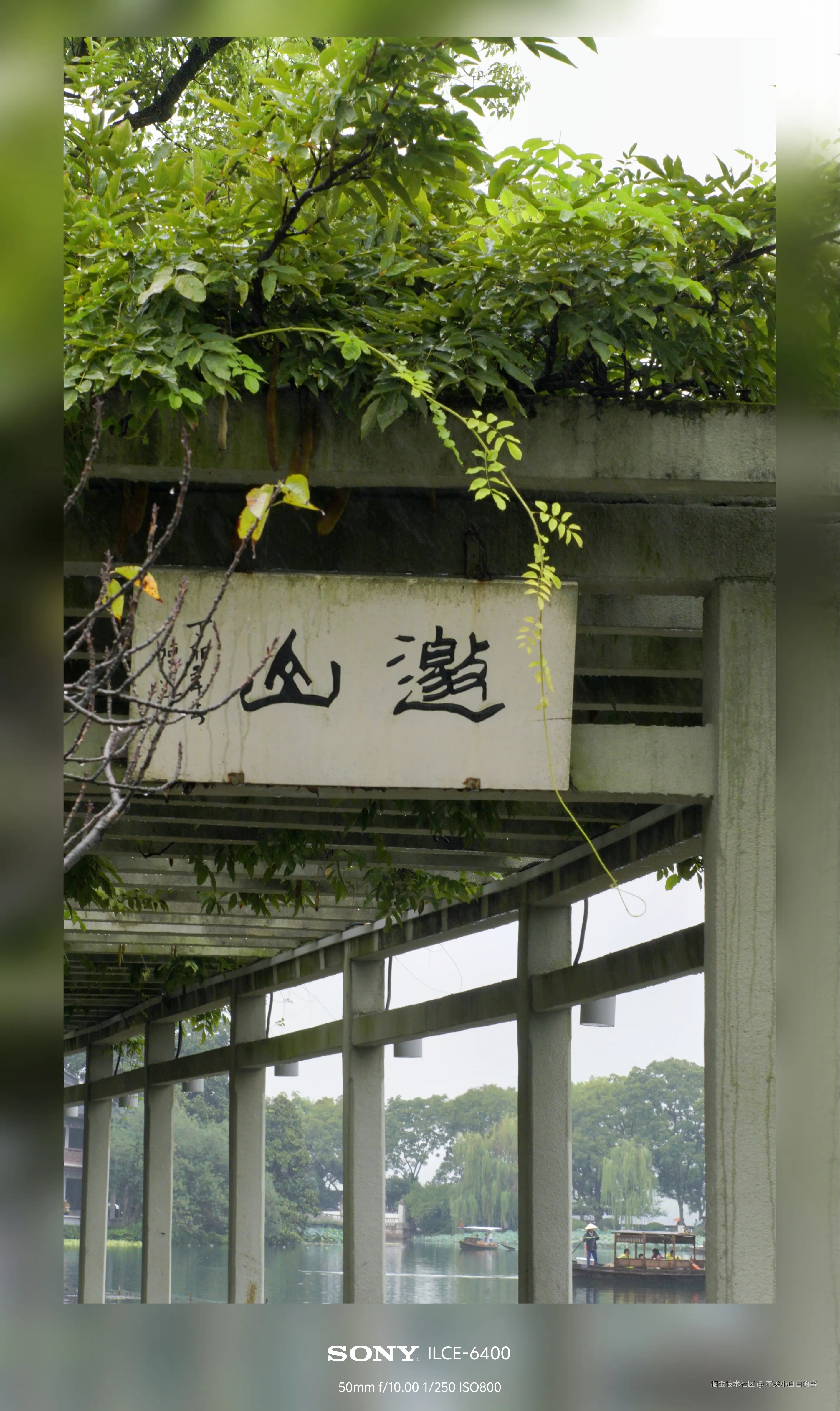 不关小白白的事于2024-10-08 14:03发布的图片