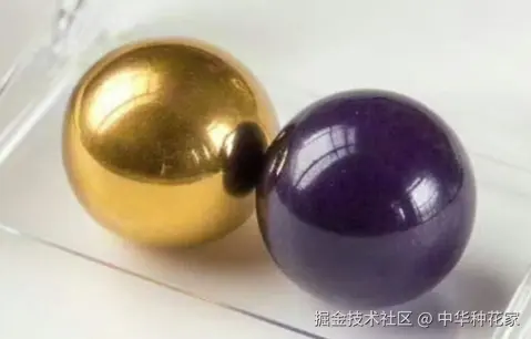 中华种花家于2025-02-11 03:08发布的图片