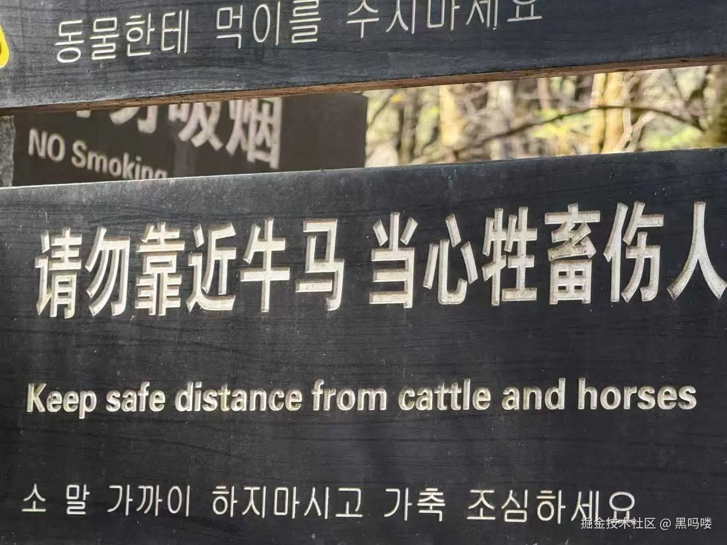 黑吗喽于2025-02-12 10:13发布的图片