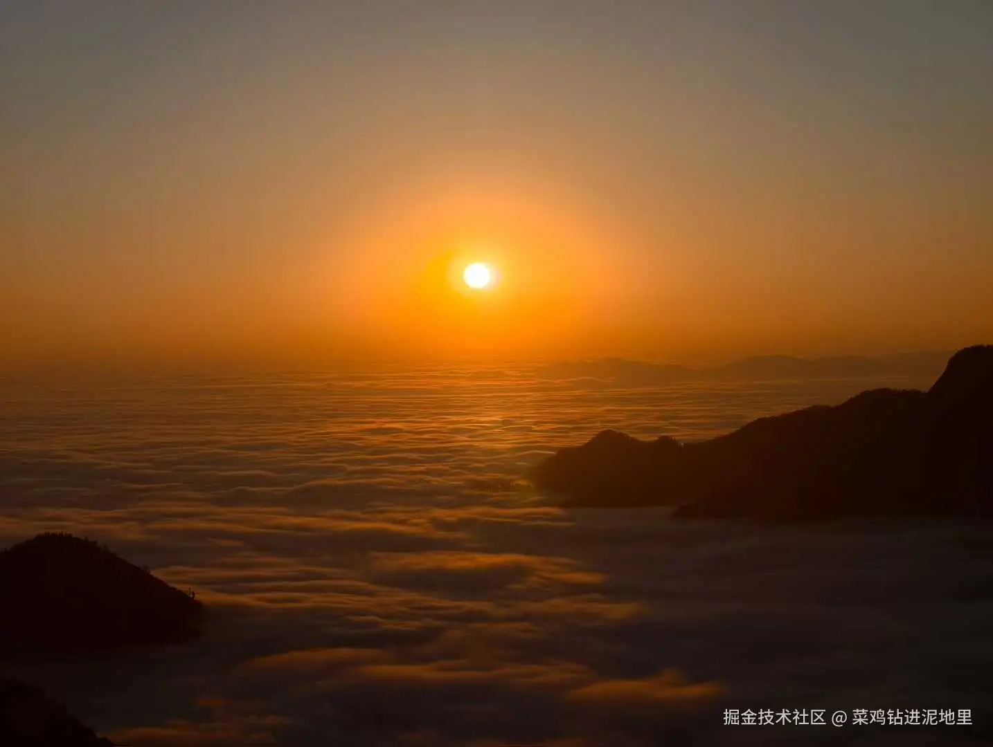 菜鸡钻进泥地里于2026-01-26 10:20发布的图片