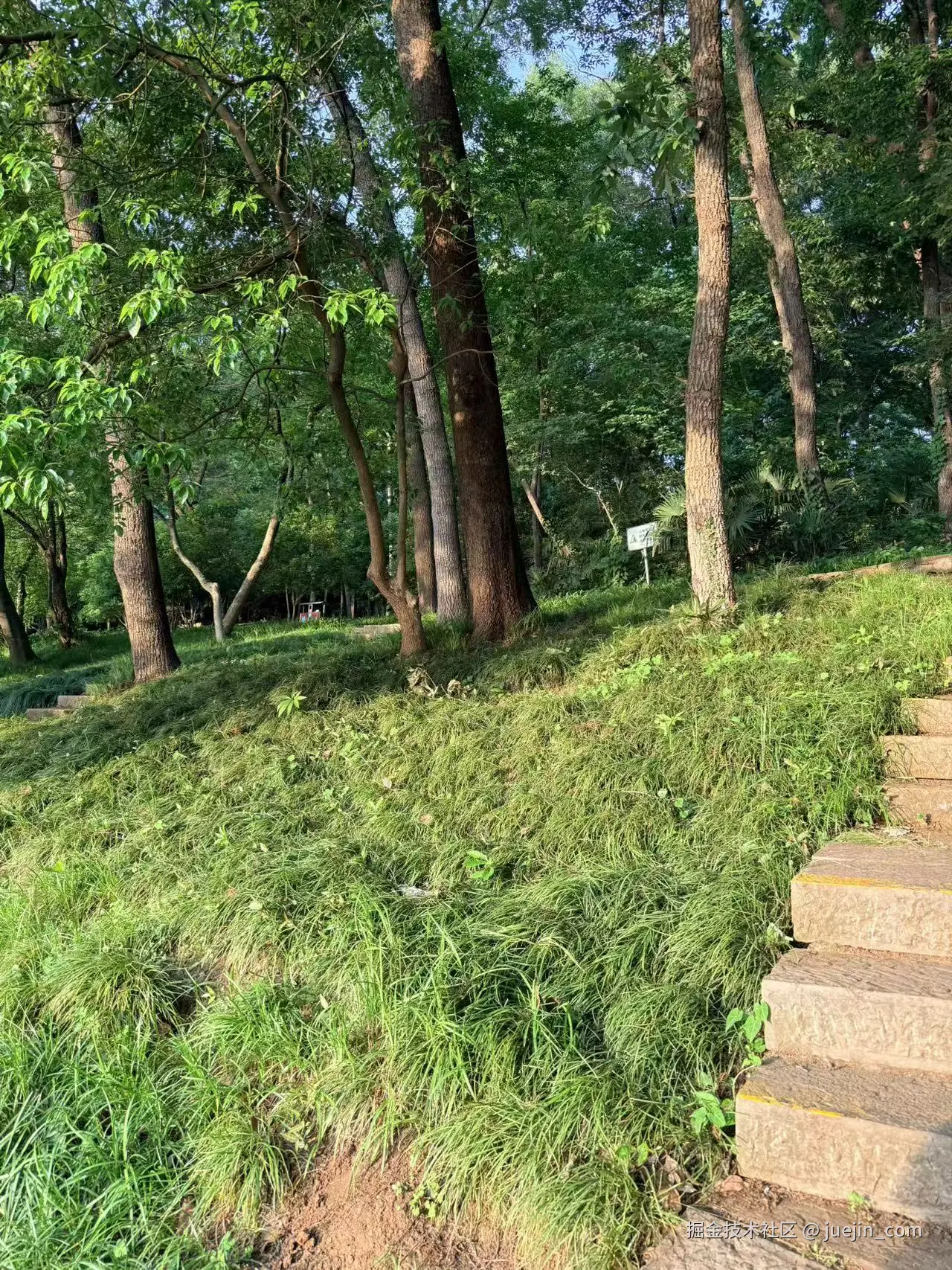 juejin_com于2026-05-12 09:44发布的图片