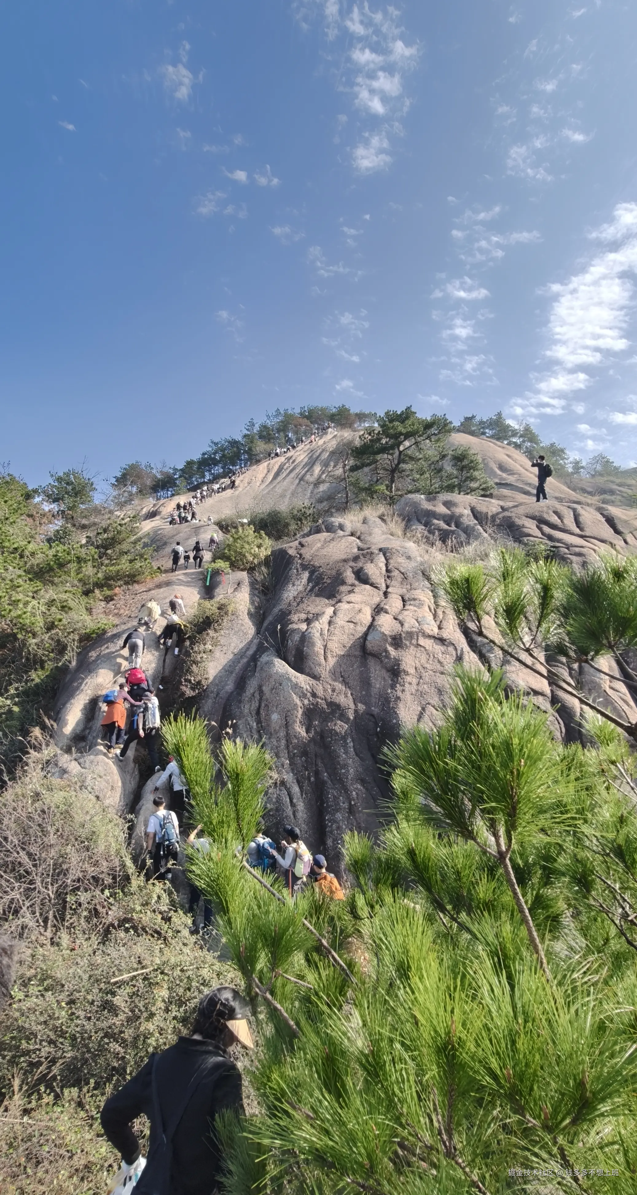 钱多多不想上班于2025-11-24 12:48发布的图片