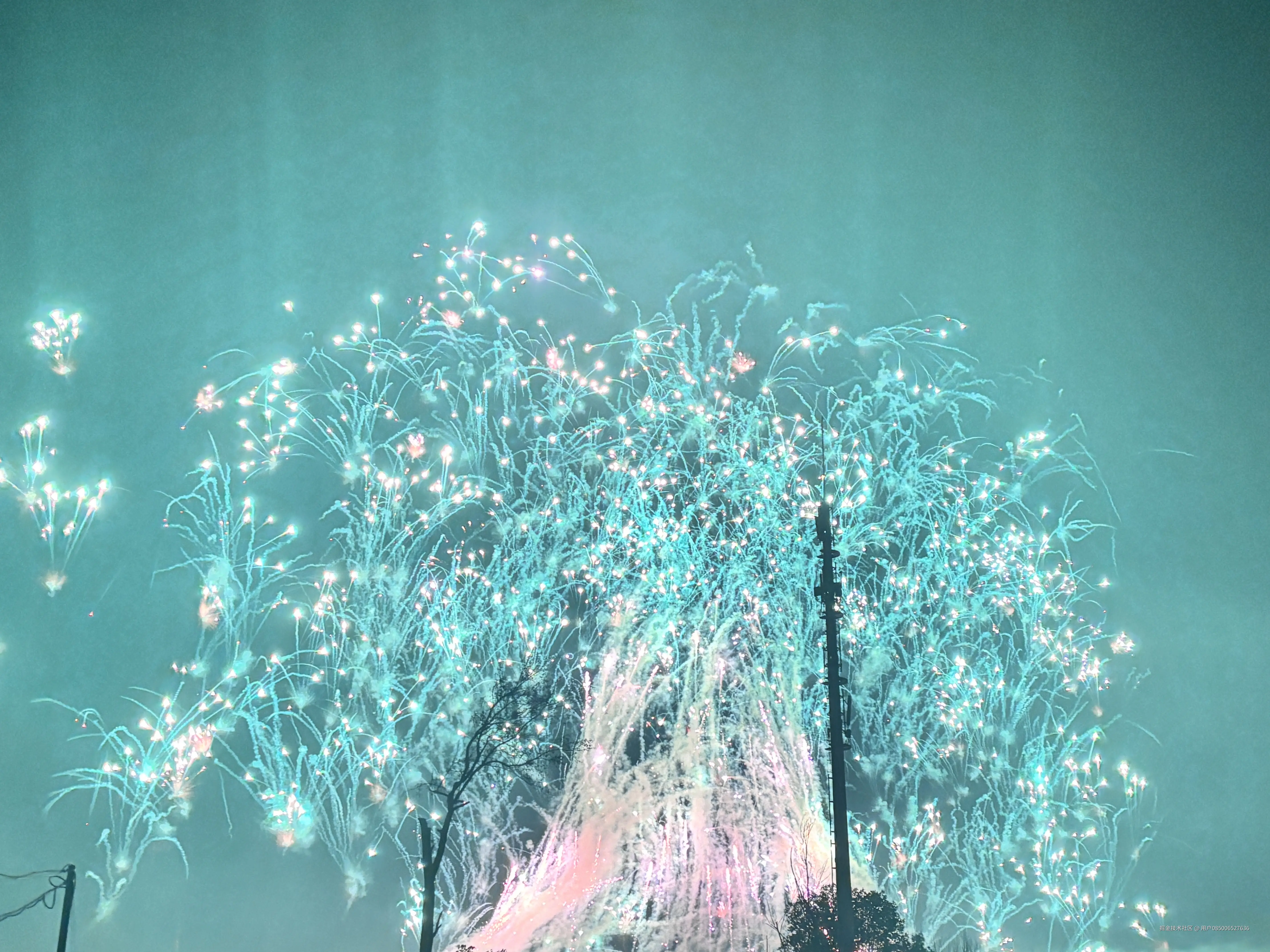 用户085006527636于2026-02-24 10:24发布的图片