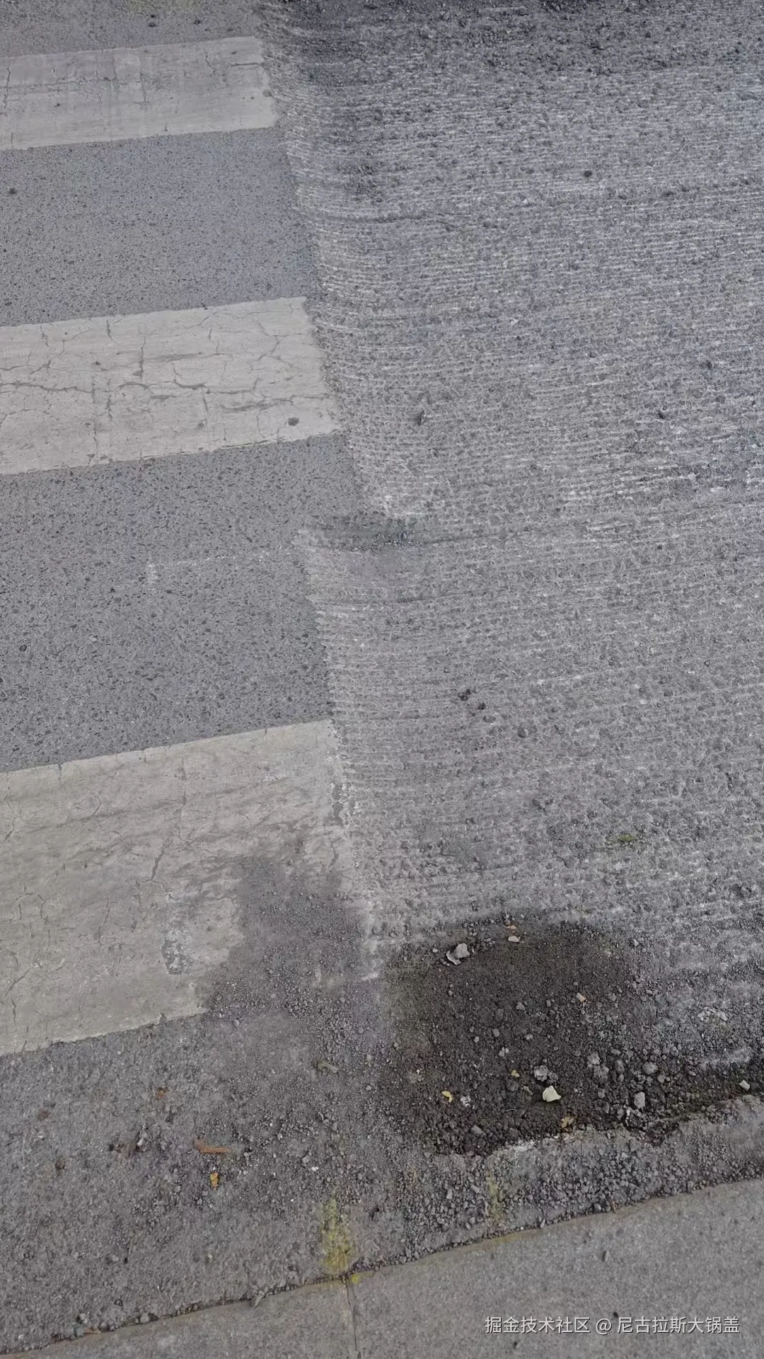 尼古拉斯大锅盖于2024-11-28 11:19发布的图片