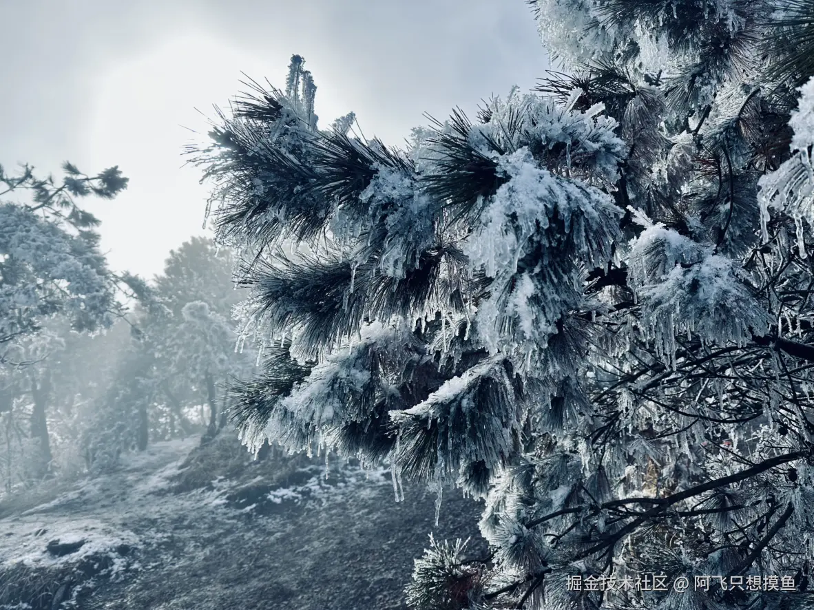 阿飞只想摸鱼于2026-02-11 14:33发布的图片