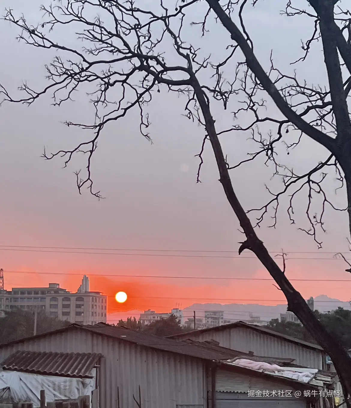 蜗牛有点怪于2024-11-20 11:24发布的图片