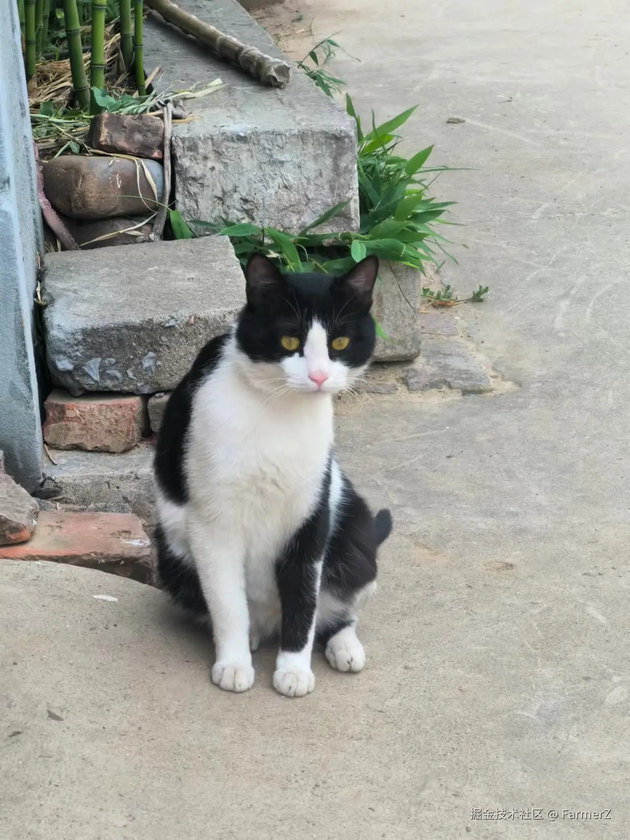 FarmerZ于2024-08-13 11:10发布的图片