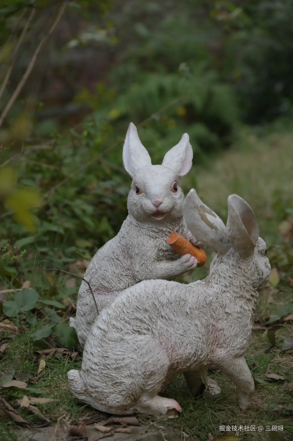 三碗呀于2025-11-26 09:35发布的图片