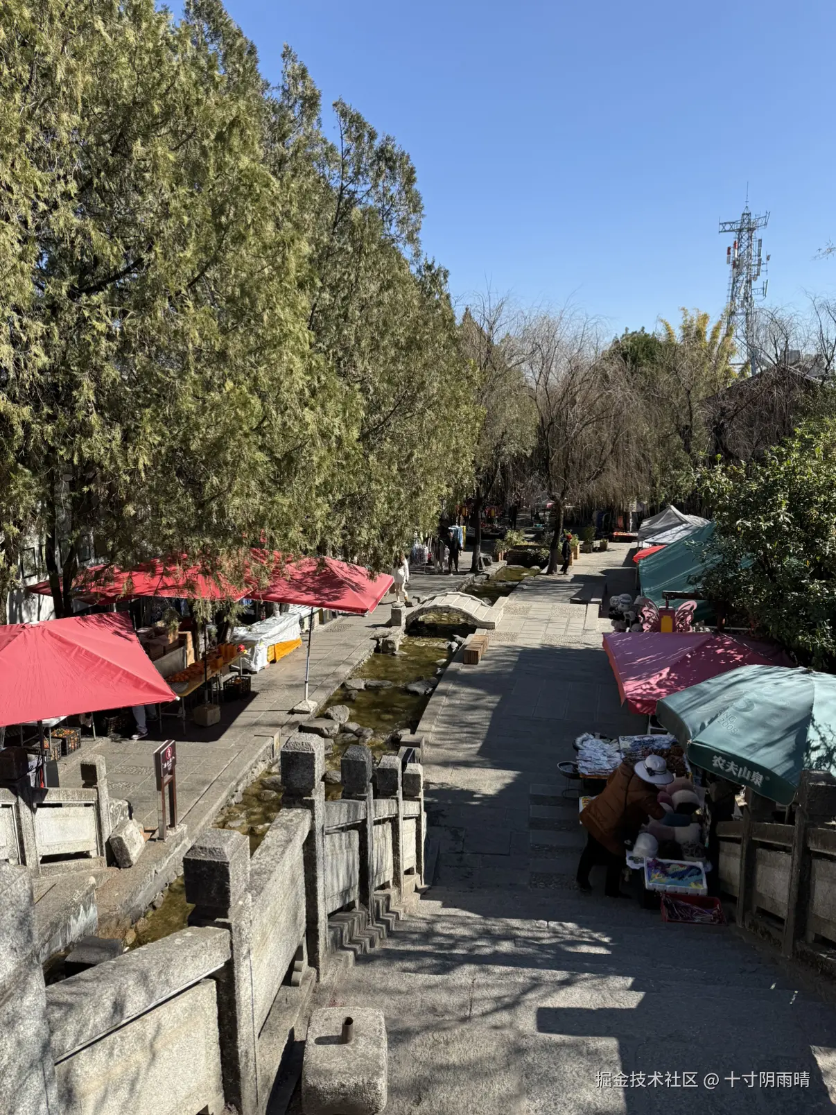 十寸阴雨晴于2026-01-22 13:05发布的图片